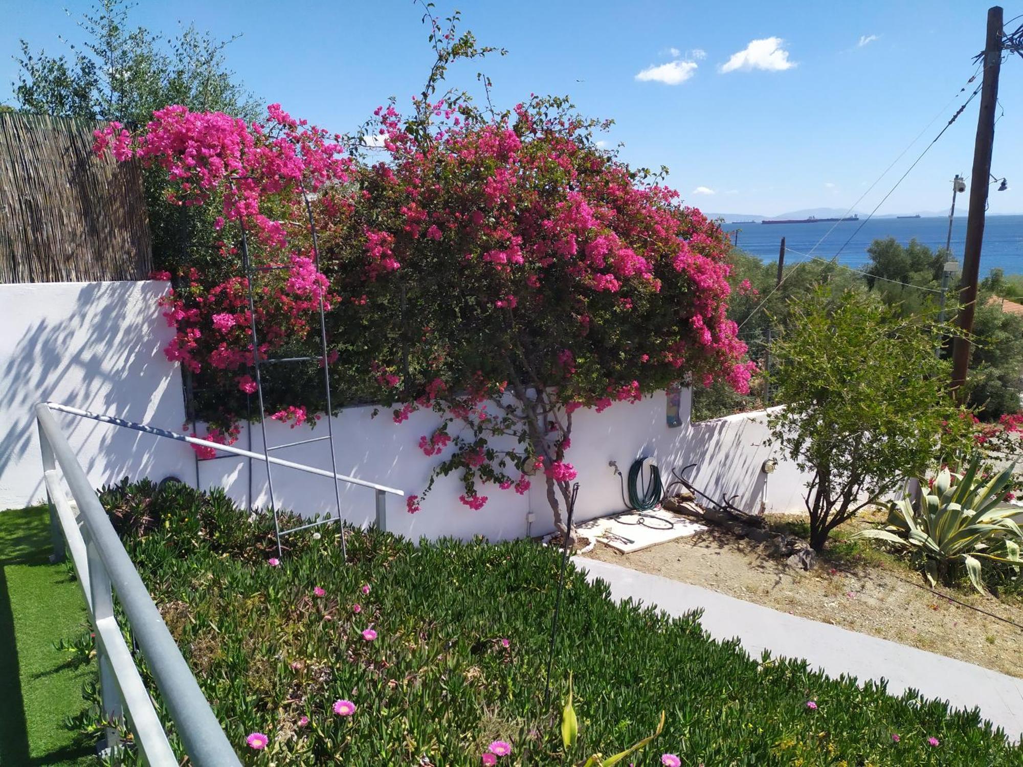 Thalassa Panagia  Exterior photo